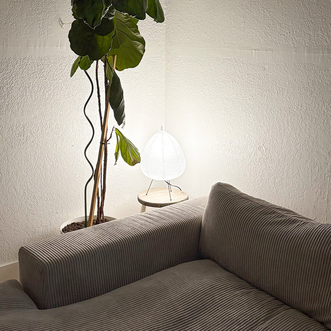 The Bulb