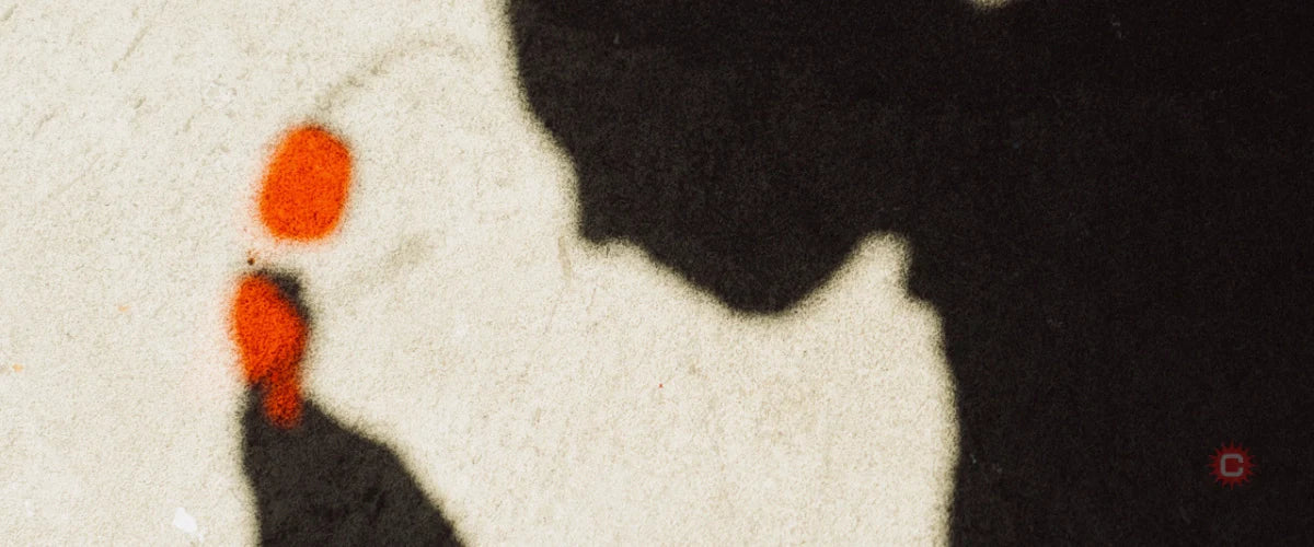 Blue Light Glasses: When to Wear Them & Why