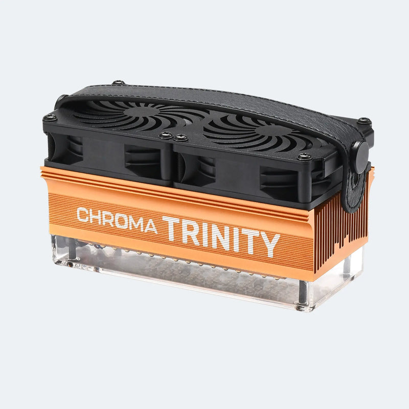 Trinity