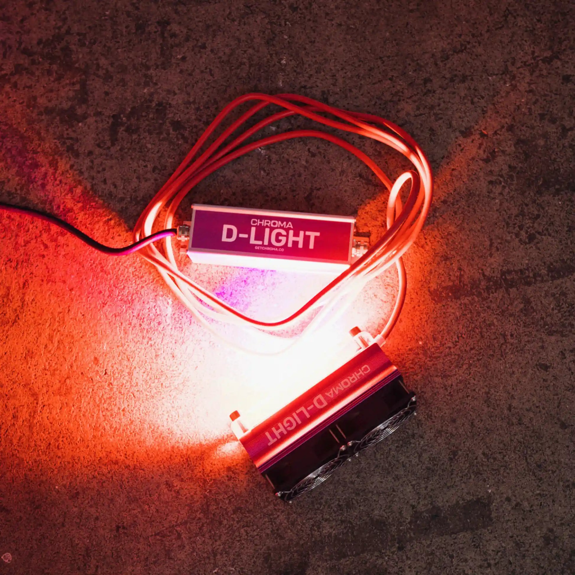 D-Light