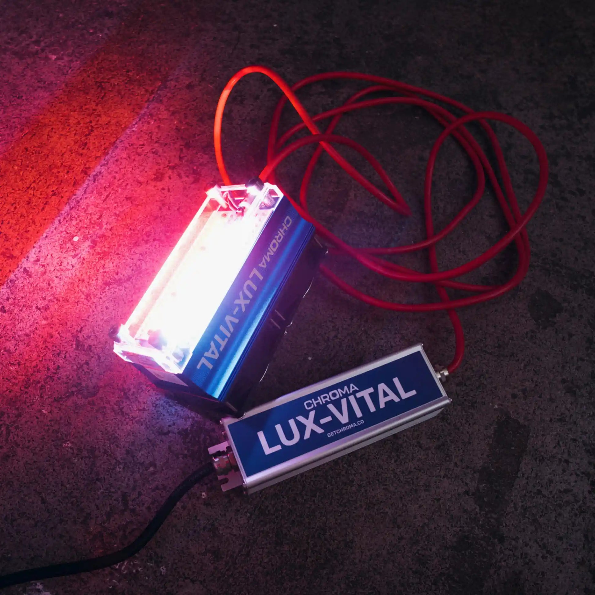 Lux Vital