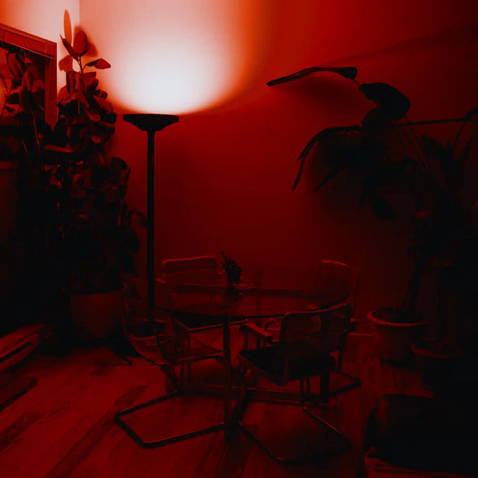Skylight