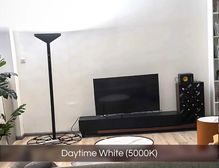 Chroma Skylight using daytime white mode (5000K) illuminating a living room positioned in the corner next to a tv unit