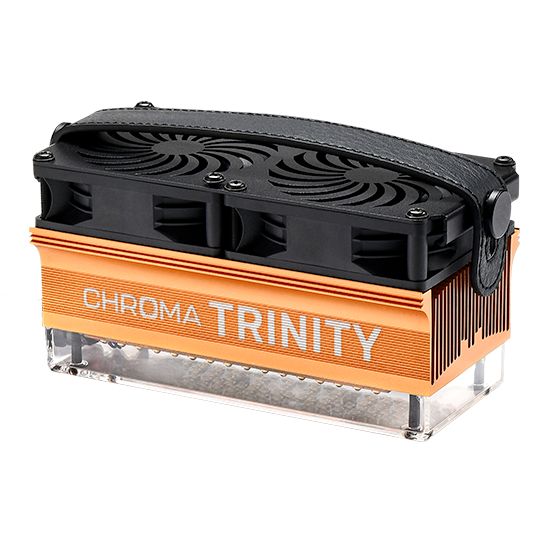 Trinity